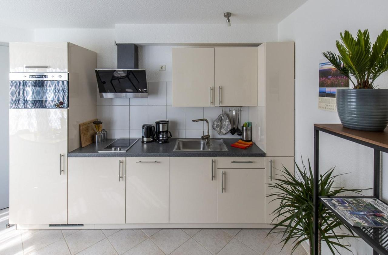 Apartments Im Cafe Einstein Freiburg im Breisgau Eksteriør bilde