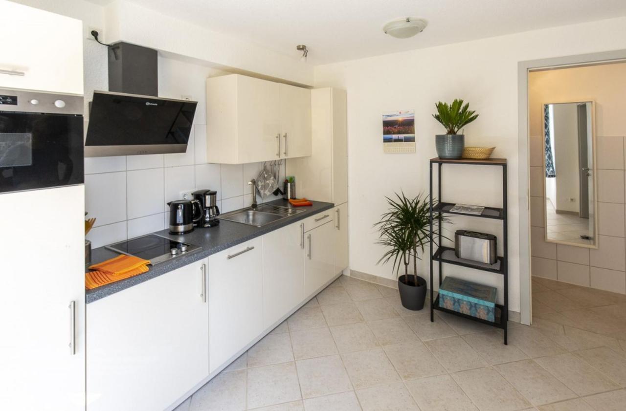 Apartments Im Cafe Einstein Freiburg im Breisgau Eksteriør bilde